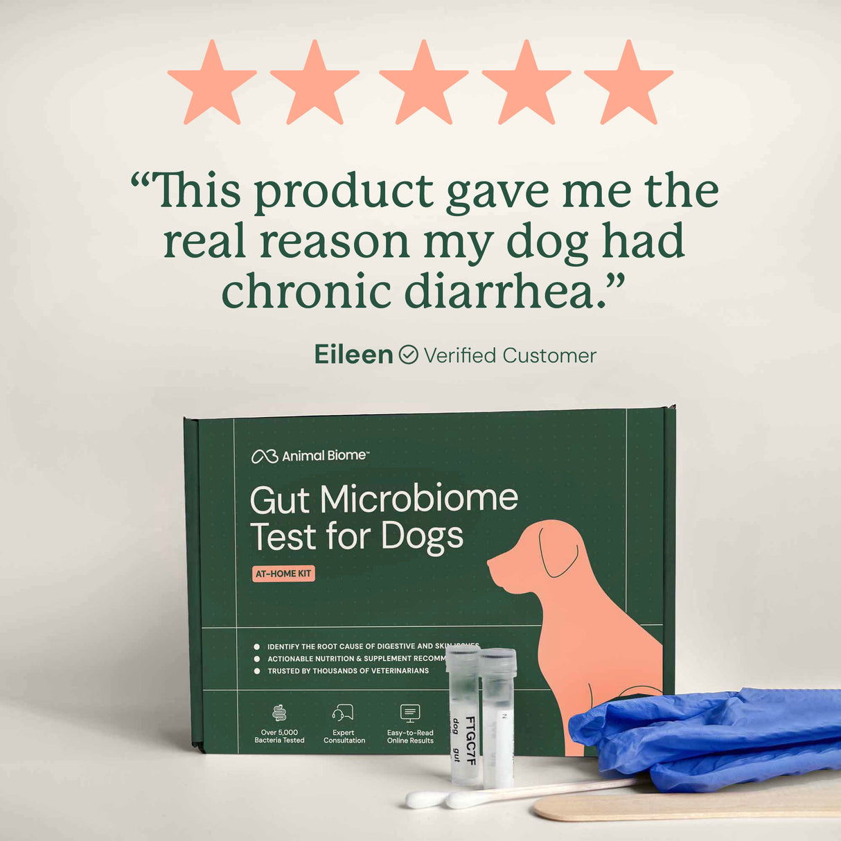 Gut Microbiome Test for Dogs