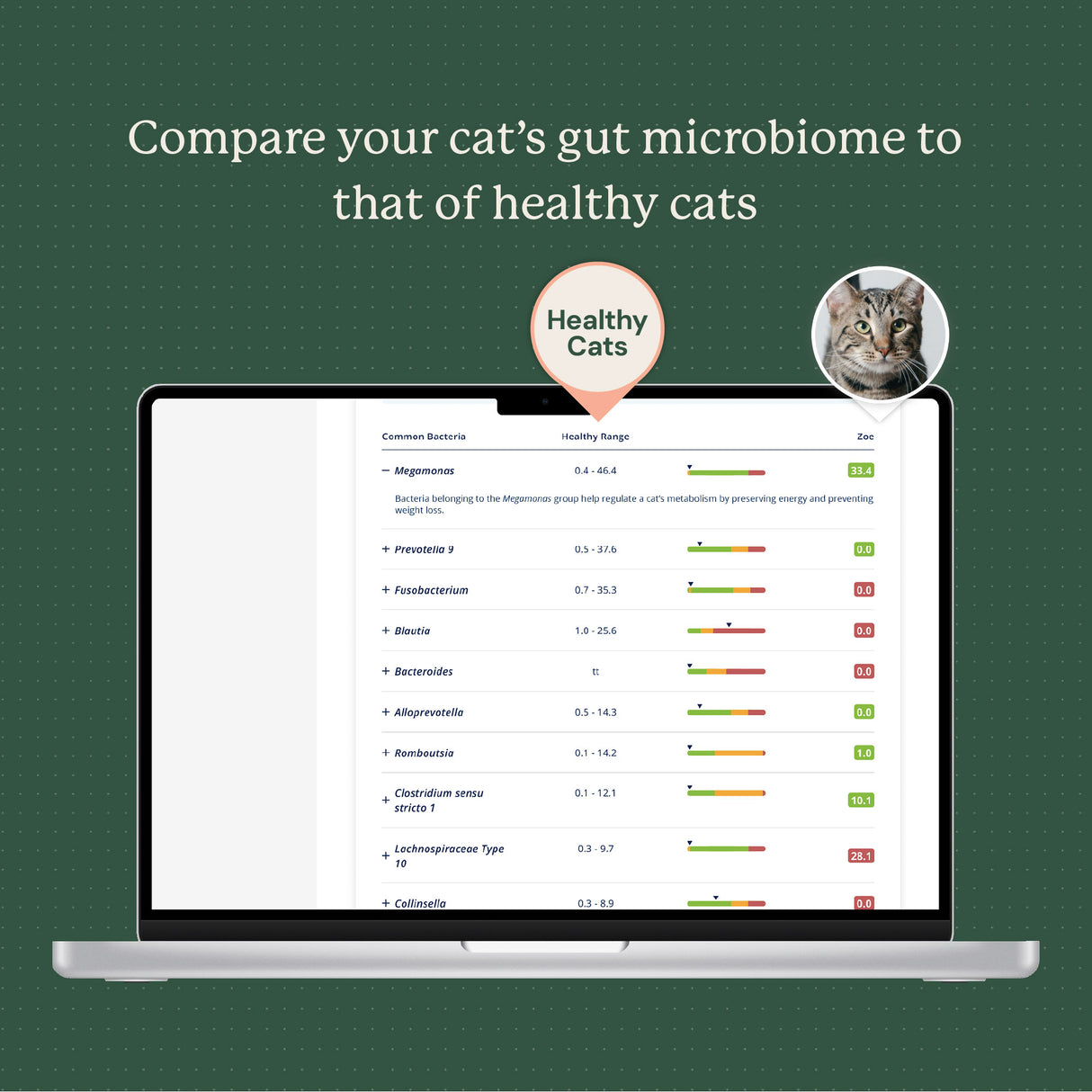 Gut Microbiome Test for Cats