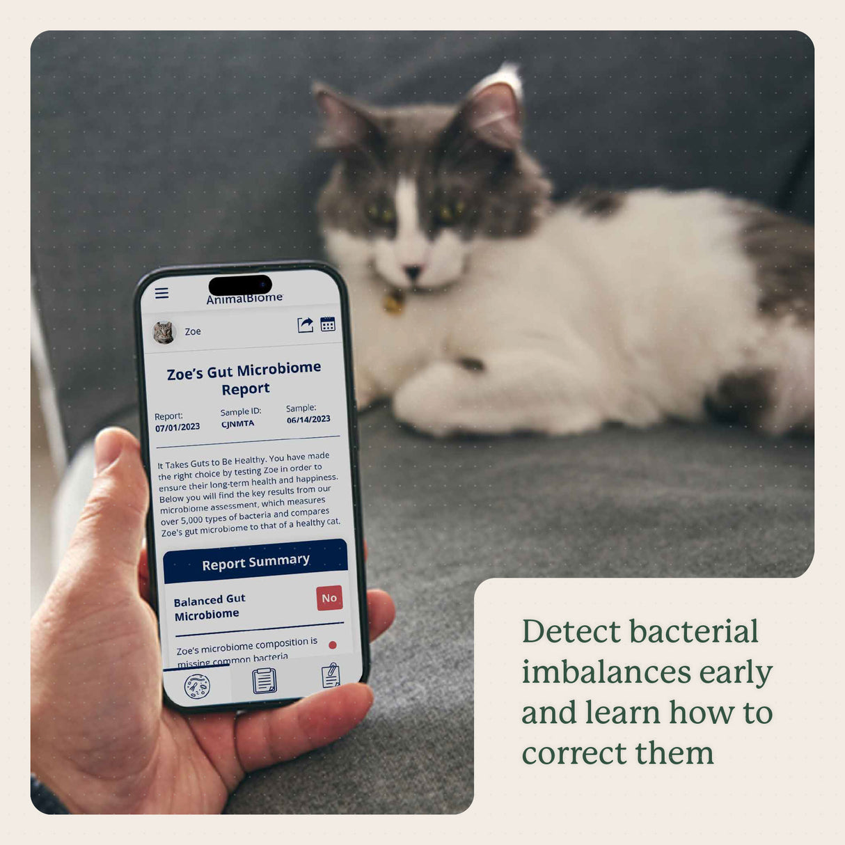 Gut Microbiome Test for Cats
