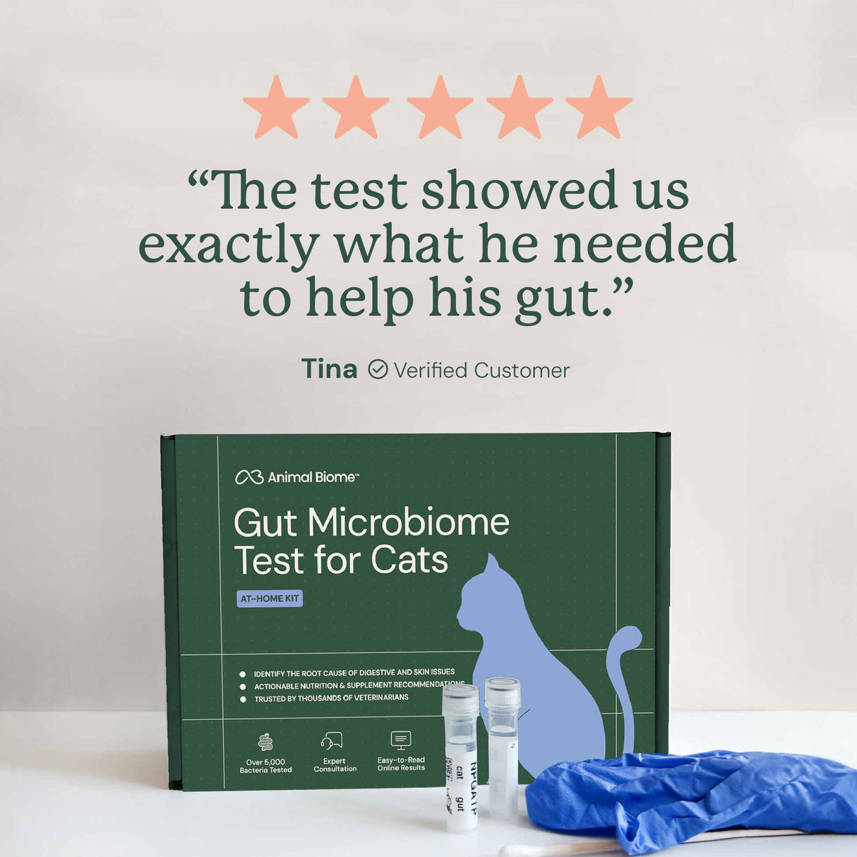 Gut Microbiome Test for Cats