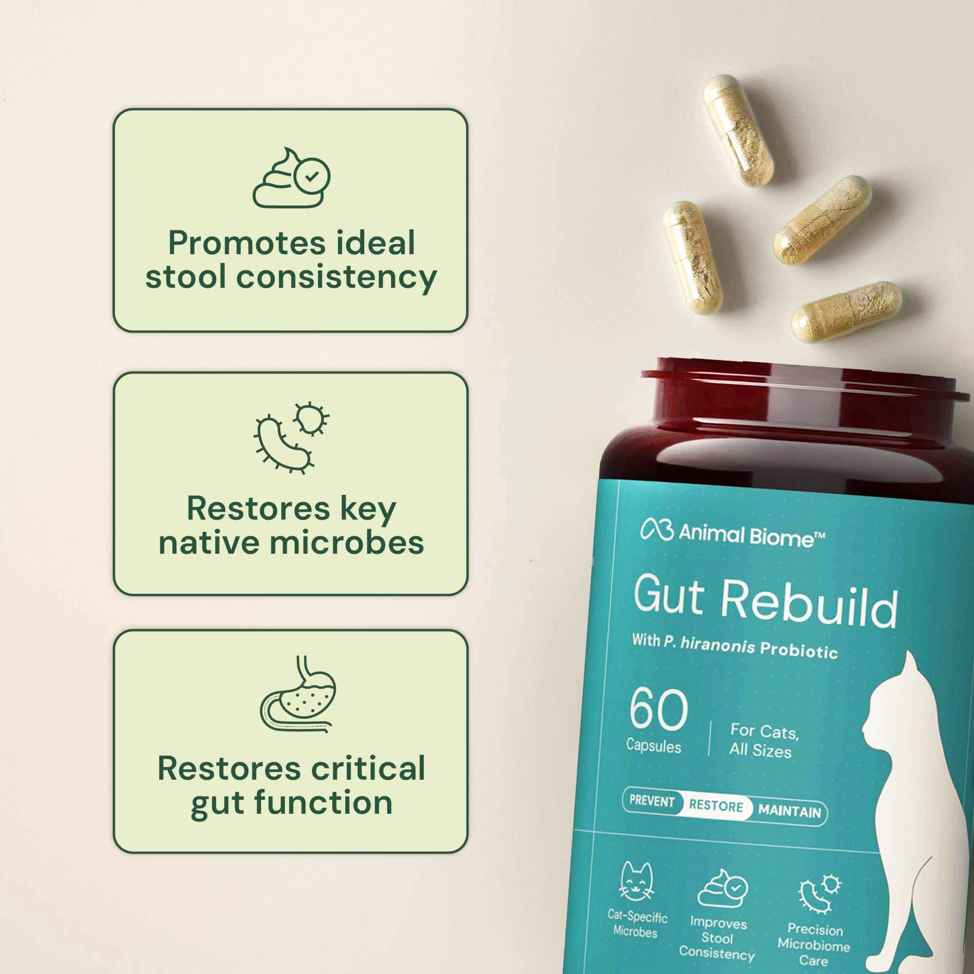 Gut Rebuild for Cats – AnimalBiome