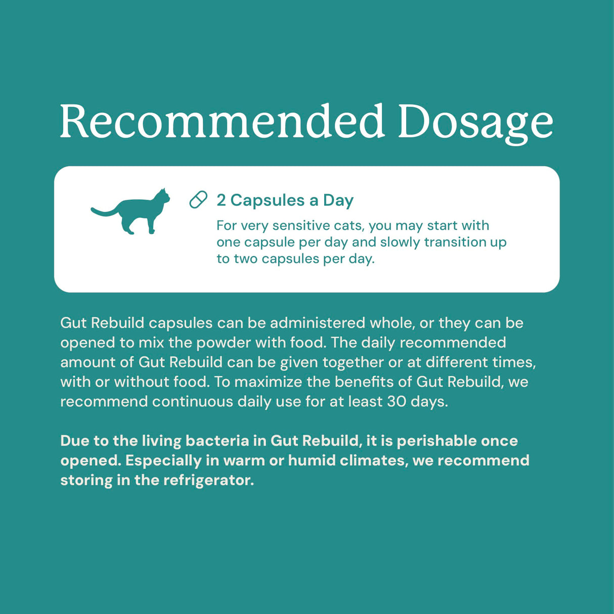 Gut Rebuild for Cats