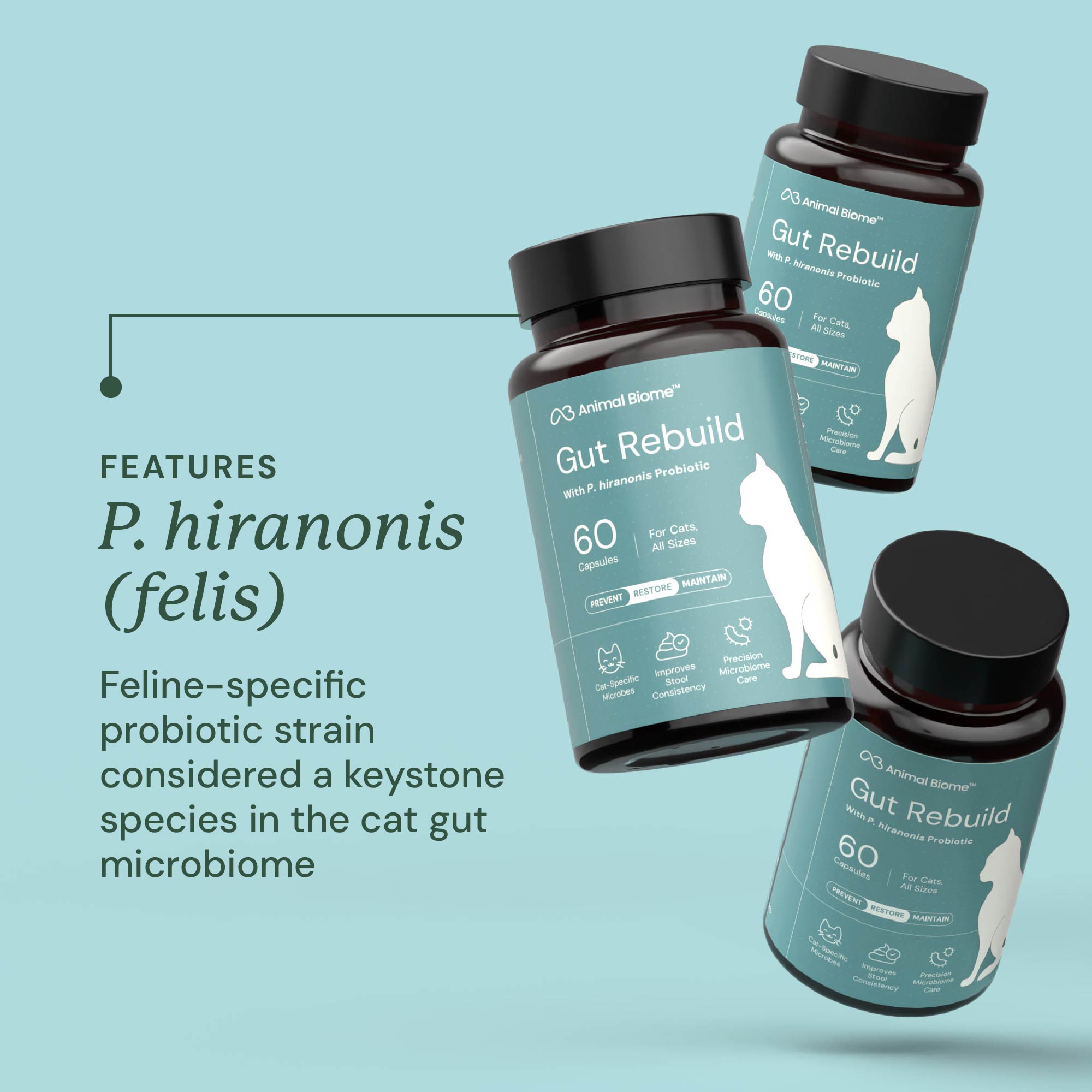 Gut Rebuild for Cats – AnimalBiome