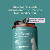 Gut Rebuild for Cats