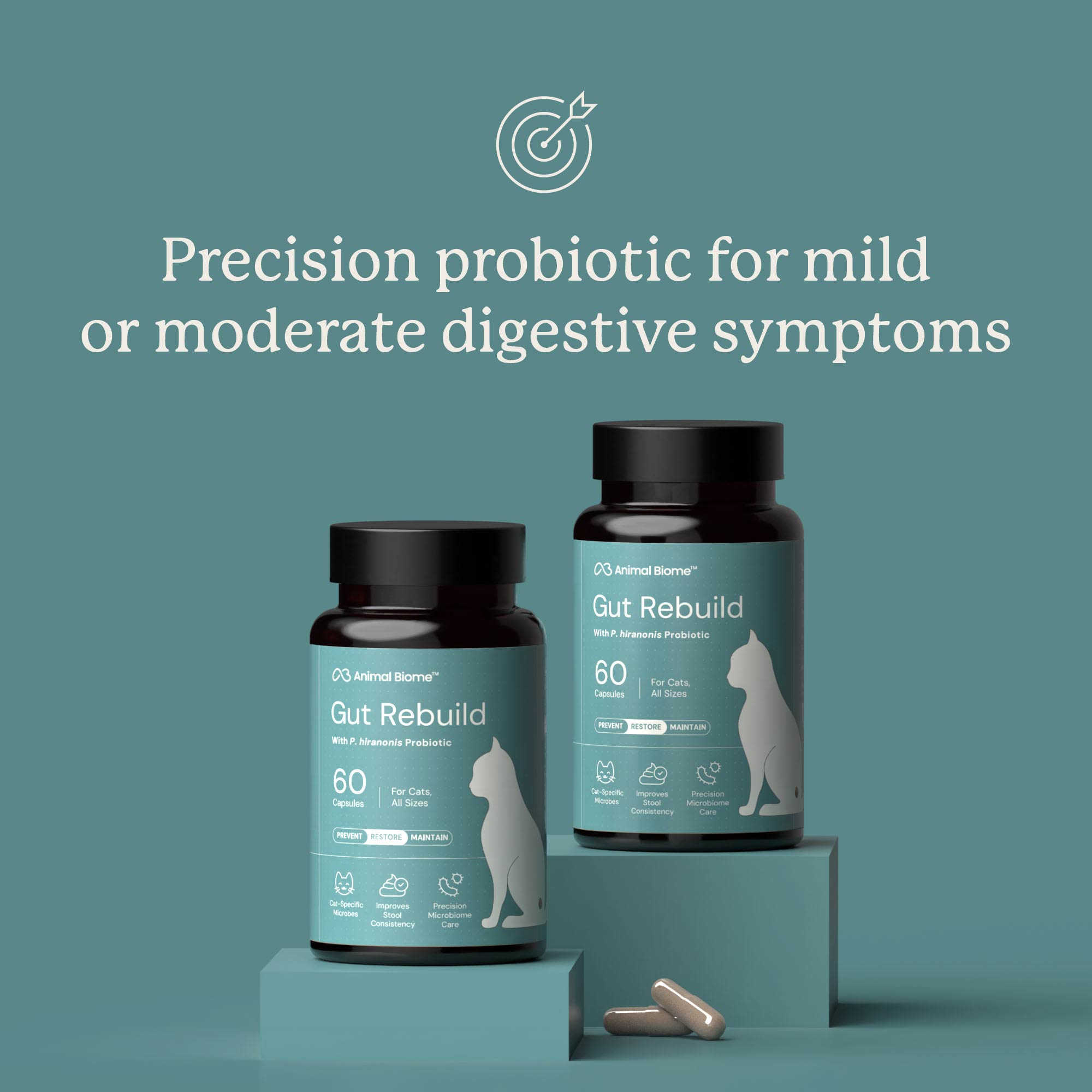Gut Rebuild for Cats – AnimalBiome
