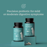 Gut Rebuild for Cats