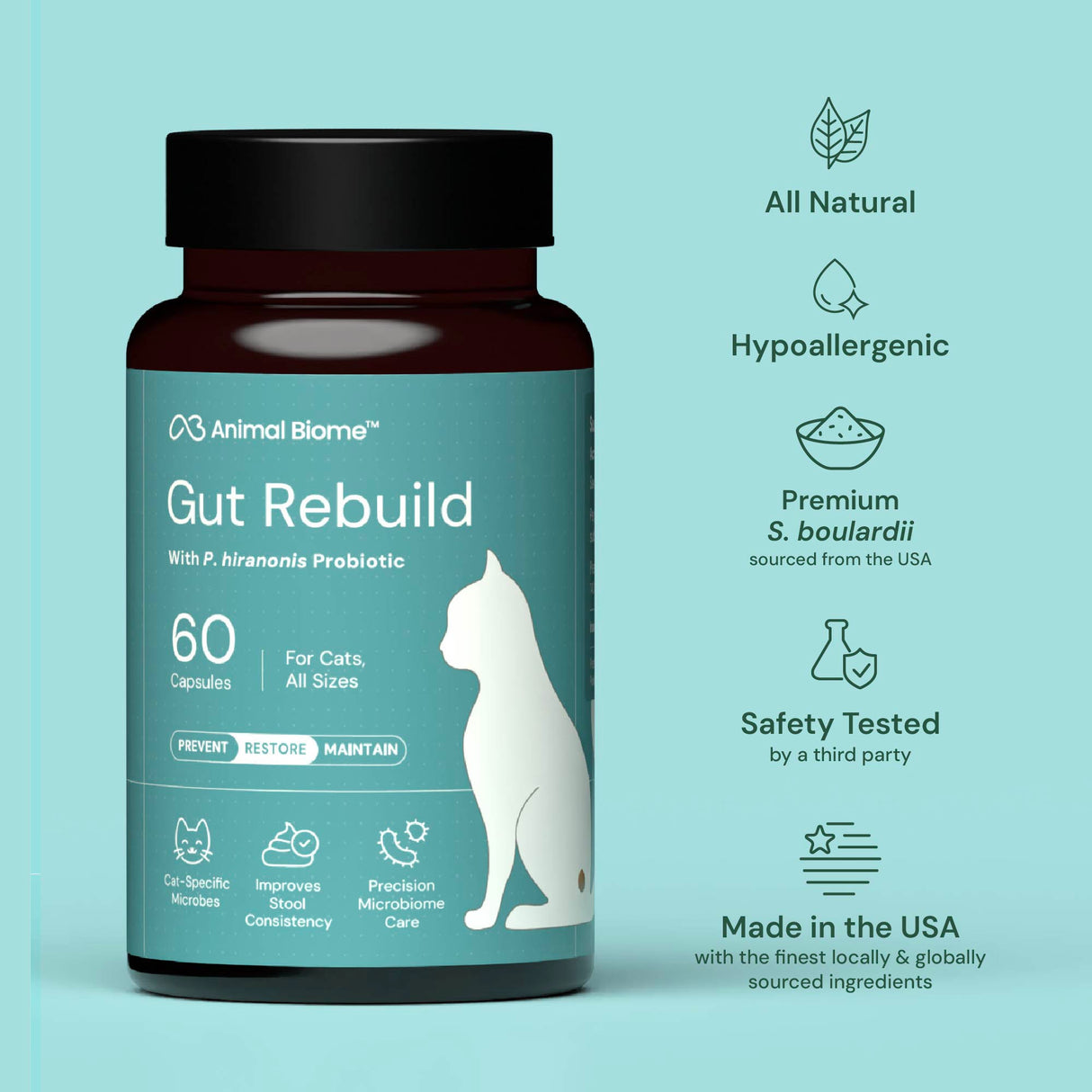 Gut Rebuild for Cats