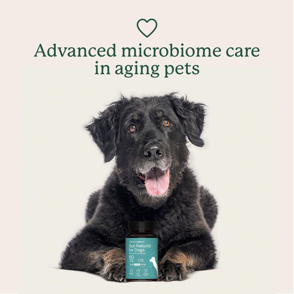 Gut Rebuild for Dogs