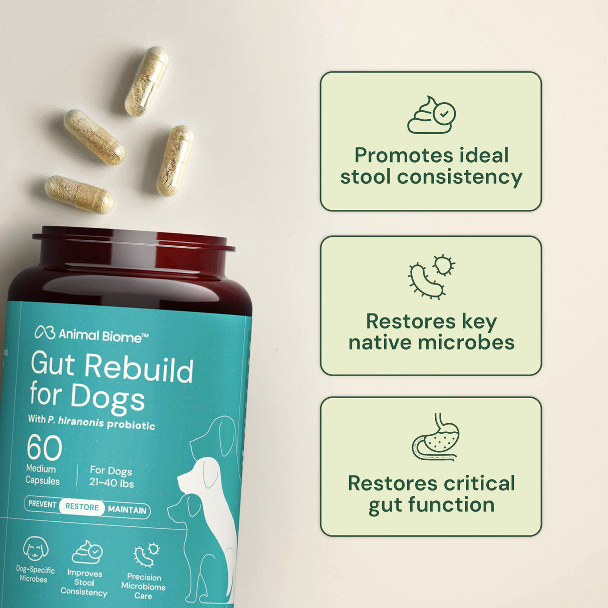 Gut Rebuild for Dogs