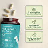 Gut Rebuild for Dogs