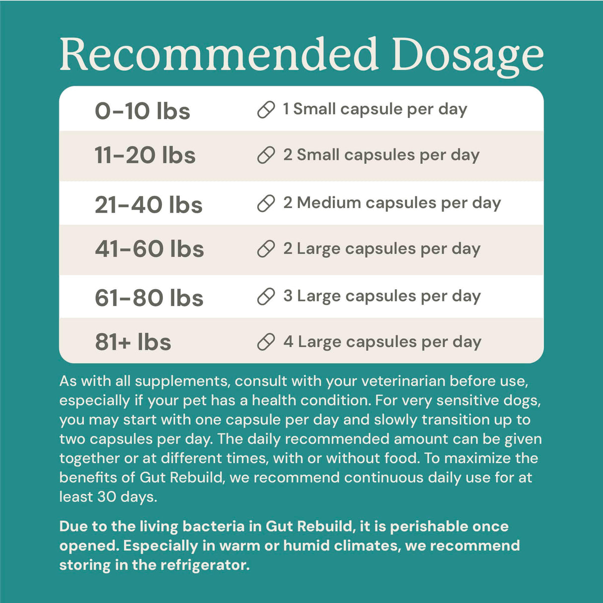 Gut Rebuild for Dogs