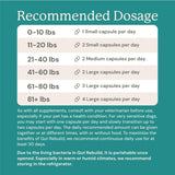 Gut Rebuild for Dogs