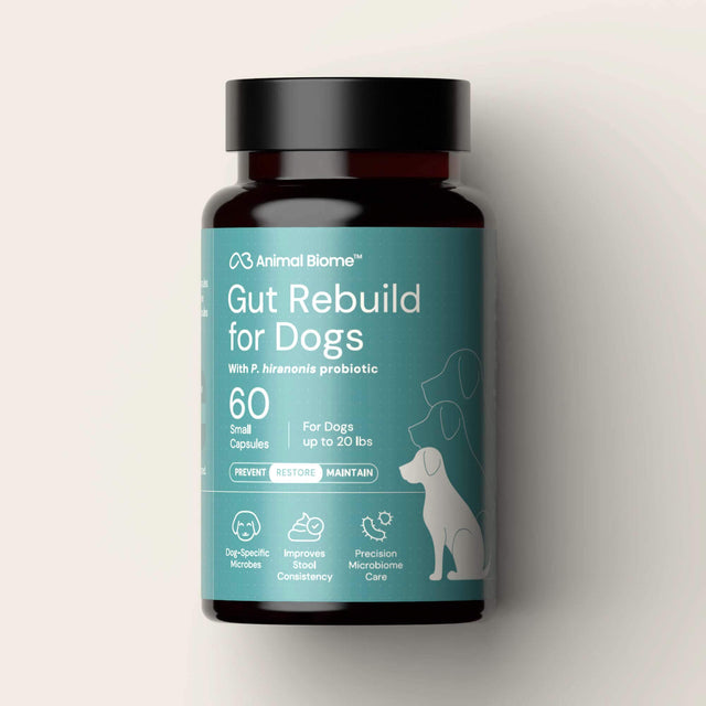 Bottle of 'Gut Rebuild for Dogs' supplement on a light gray background