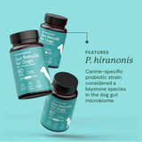 Three bottles of 'Gut Rebuild for Dogs' on a light blue background with text about the probiotic strain.