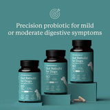 Pet supplement bottles labeled 'Gut Rebuild for Dogs' on a teal background