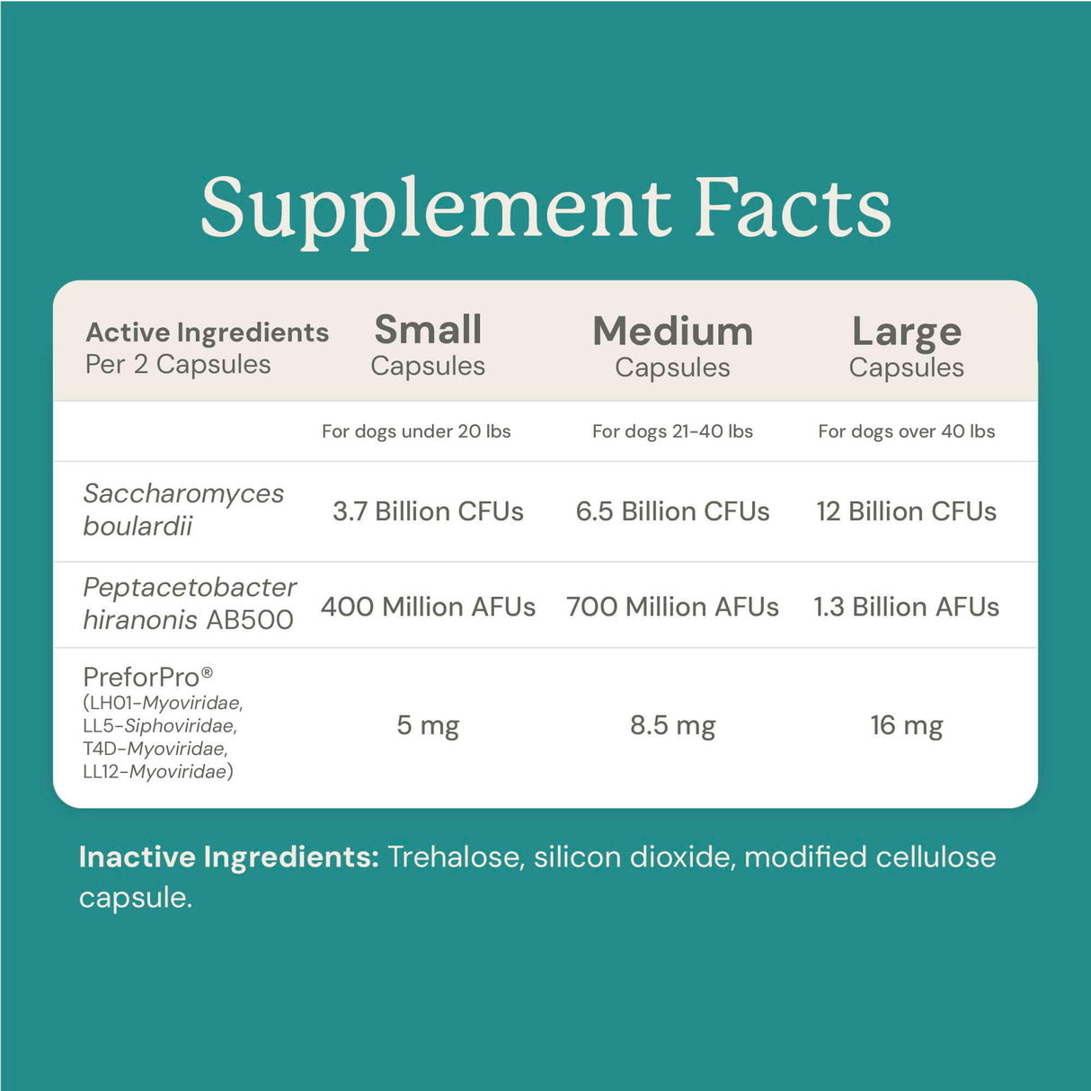 Gut Rebuild for Dogs
