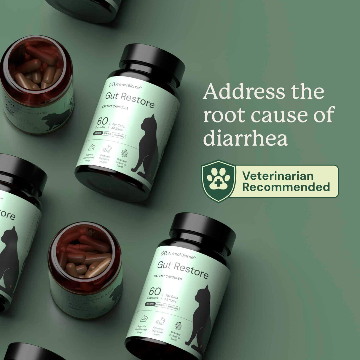 Gut Restore for Cats