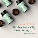 Gut Restore for Cats