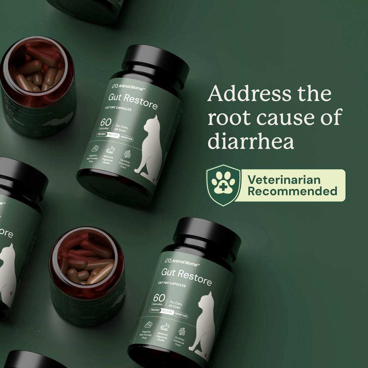 Gut Restore for Cats
