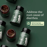 Gut Restore for Cats