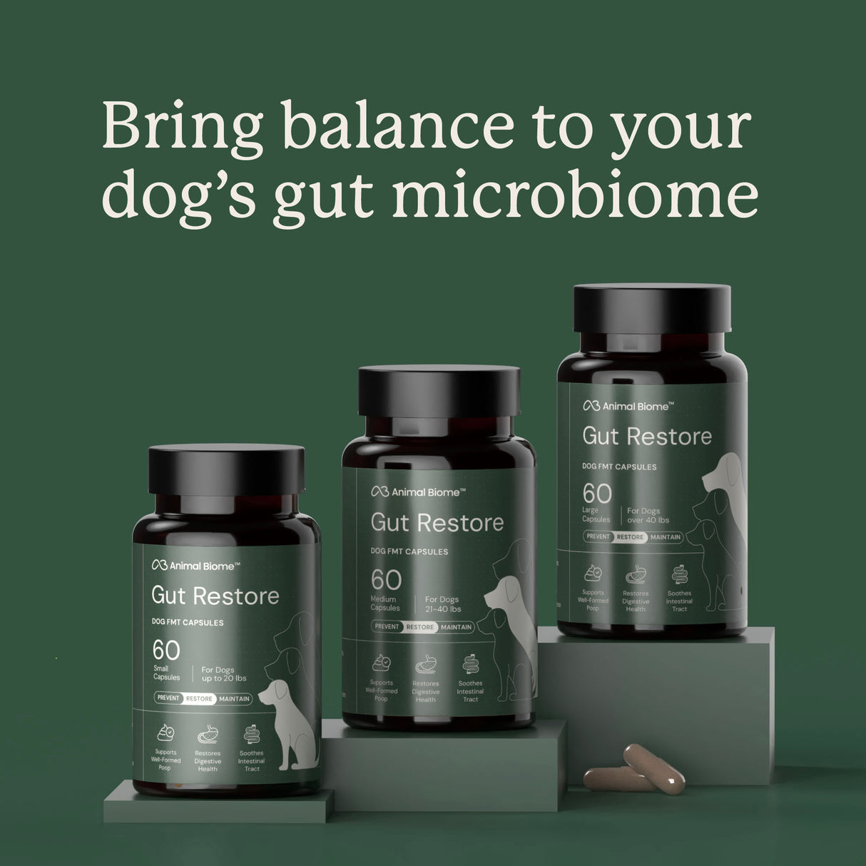 Gut Restore Supplement for Dogs