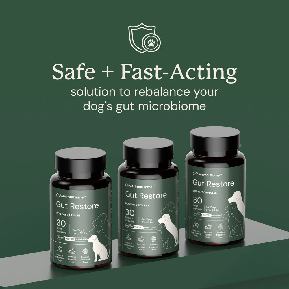 Gut Restore for Dogs