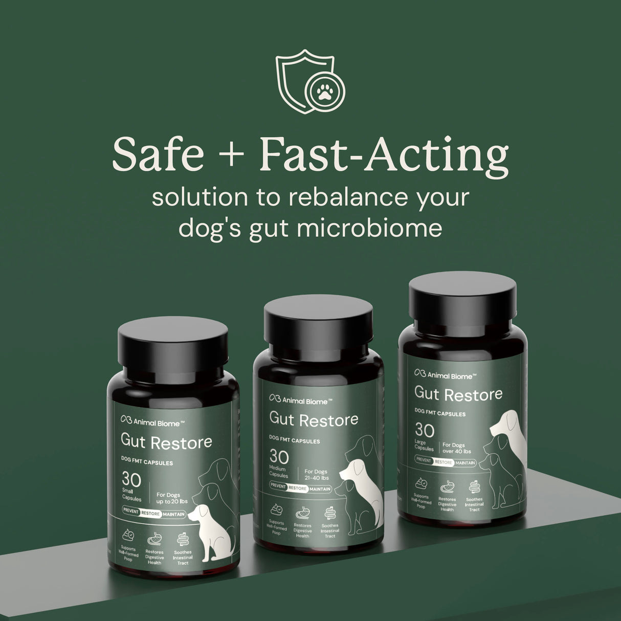Gut Restore Supplement for Dogs