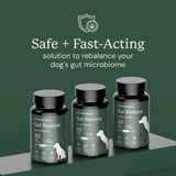 Gut Restore Supplement for Dogs