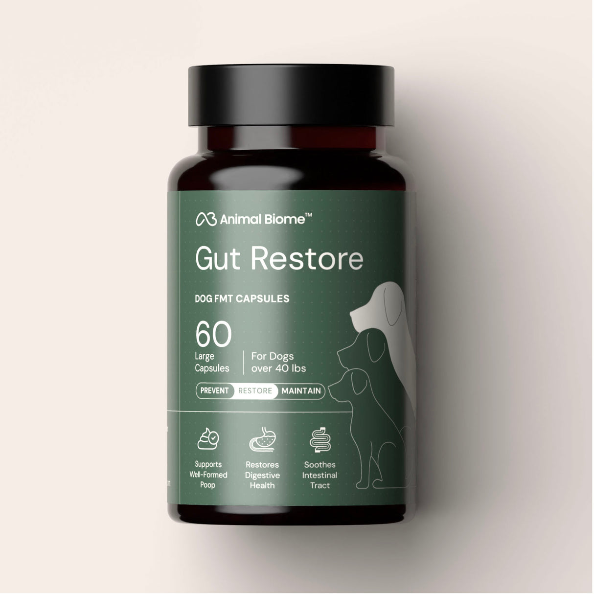 Gut Restore Supplement for Dogs