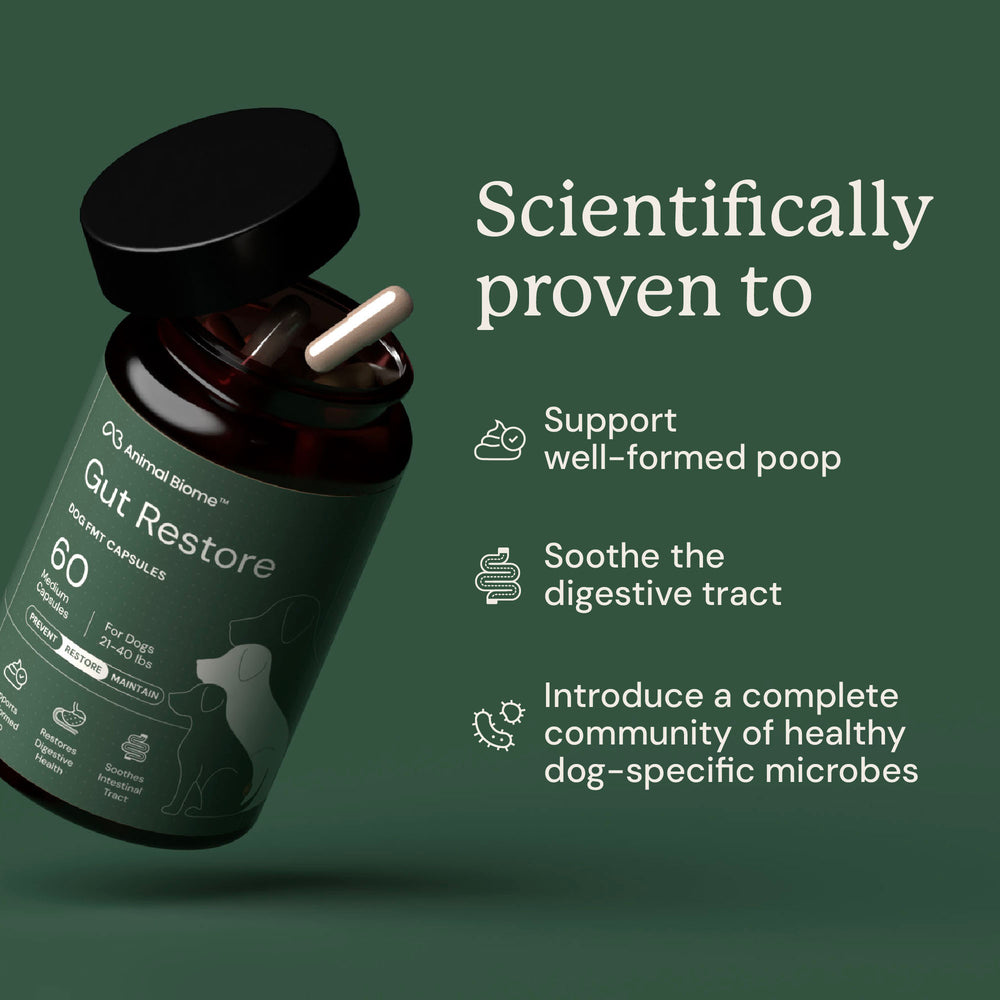 Gut Restore for Dogs
