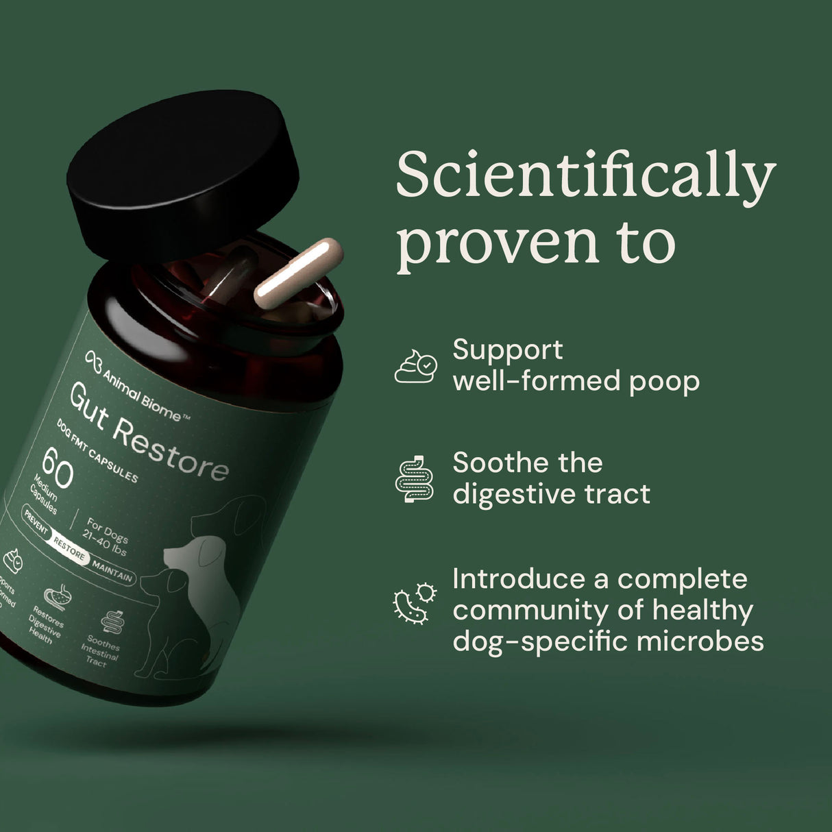 Gut Restore Supplement for Dogs