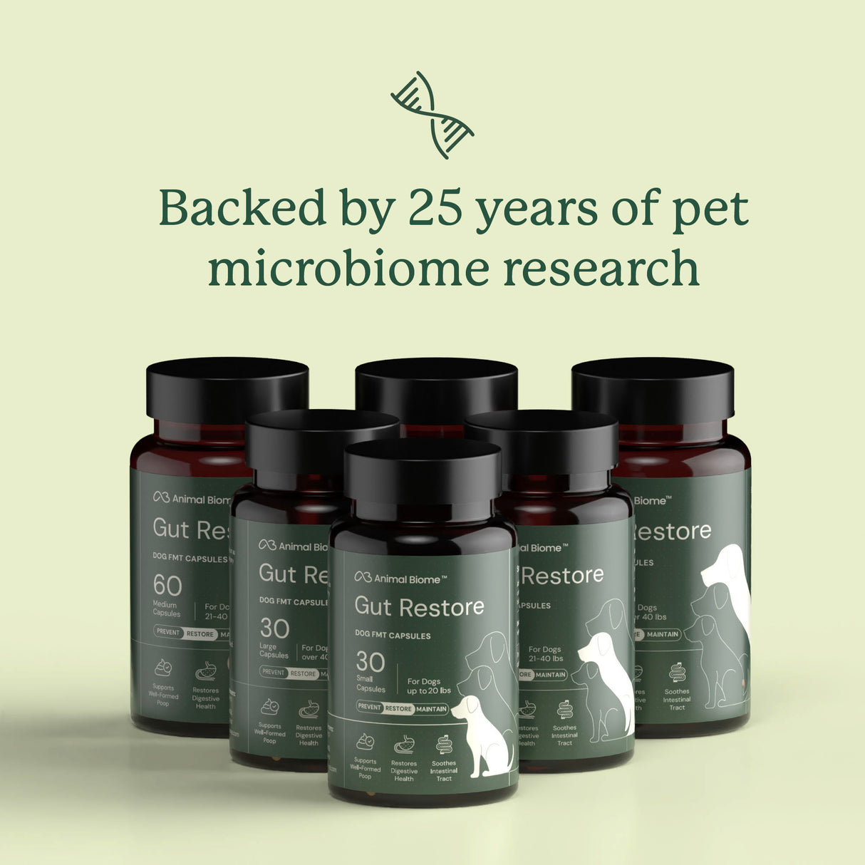 Gut Restore Supplement for Dogs
