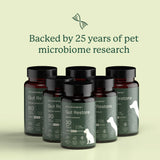 Gut Restore Supplement for Dogs