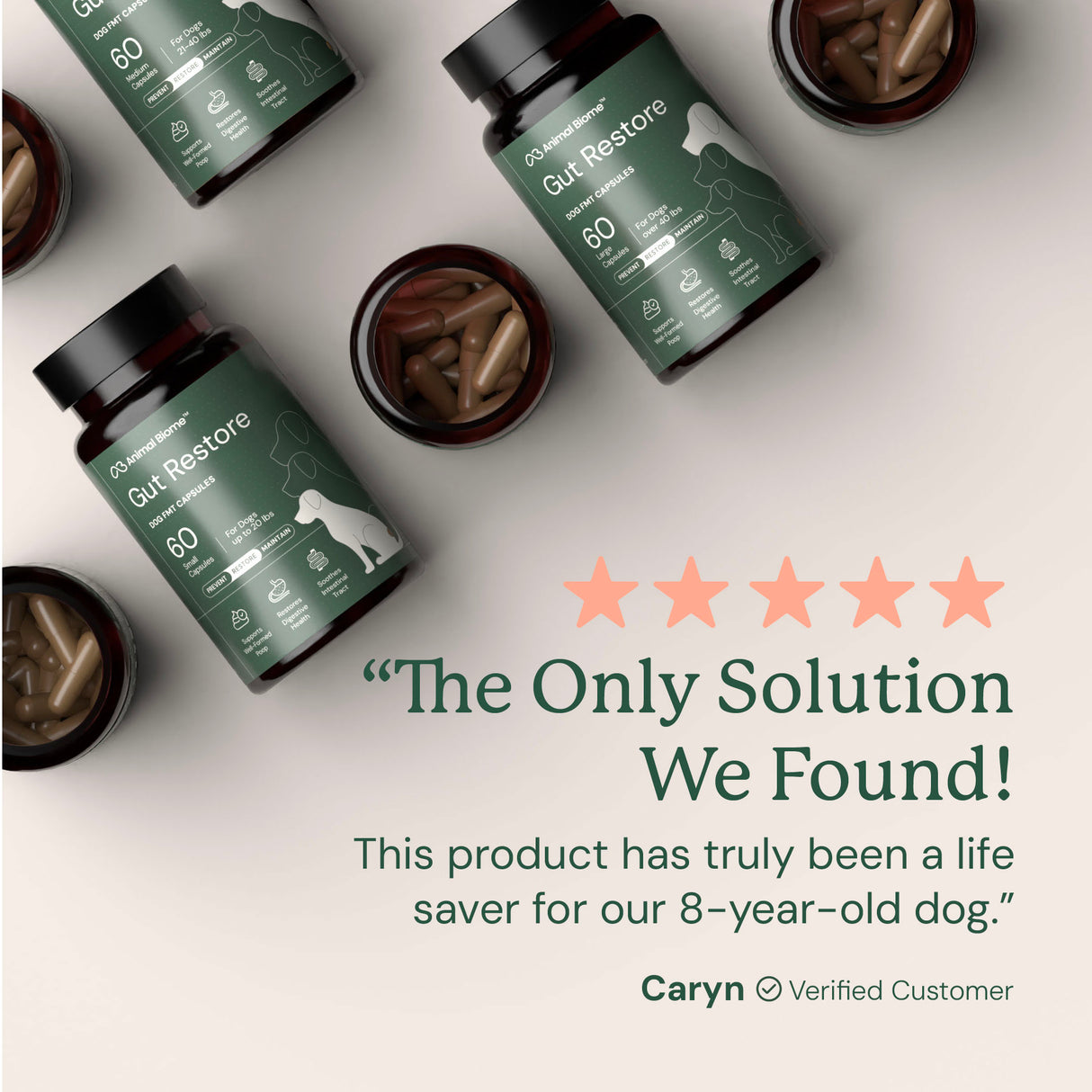Gut Restore Supplement for Dogs