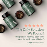 Gut Restore Supplement for Dogs