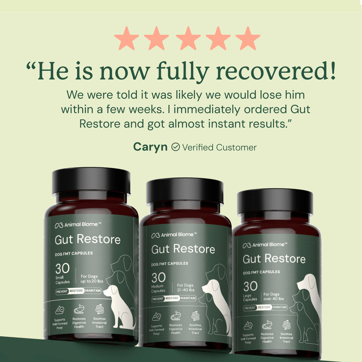 Gut Restore Supplement for Dogs