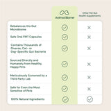 Gut Restore Supplement from Raw-Fed Dogs
