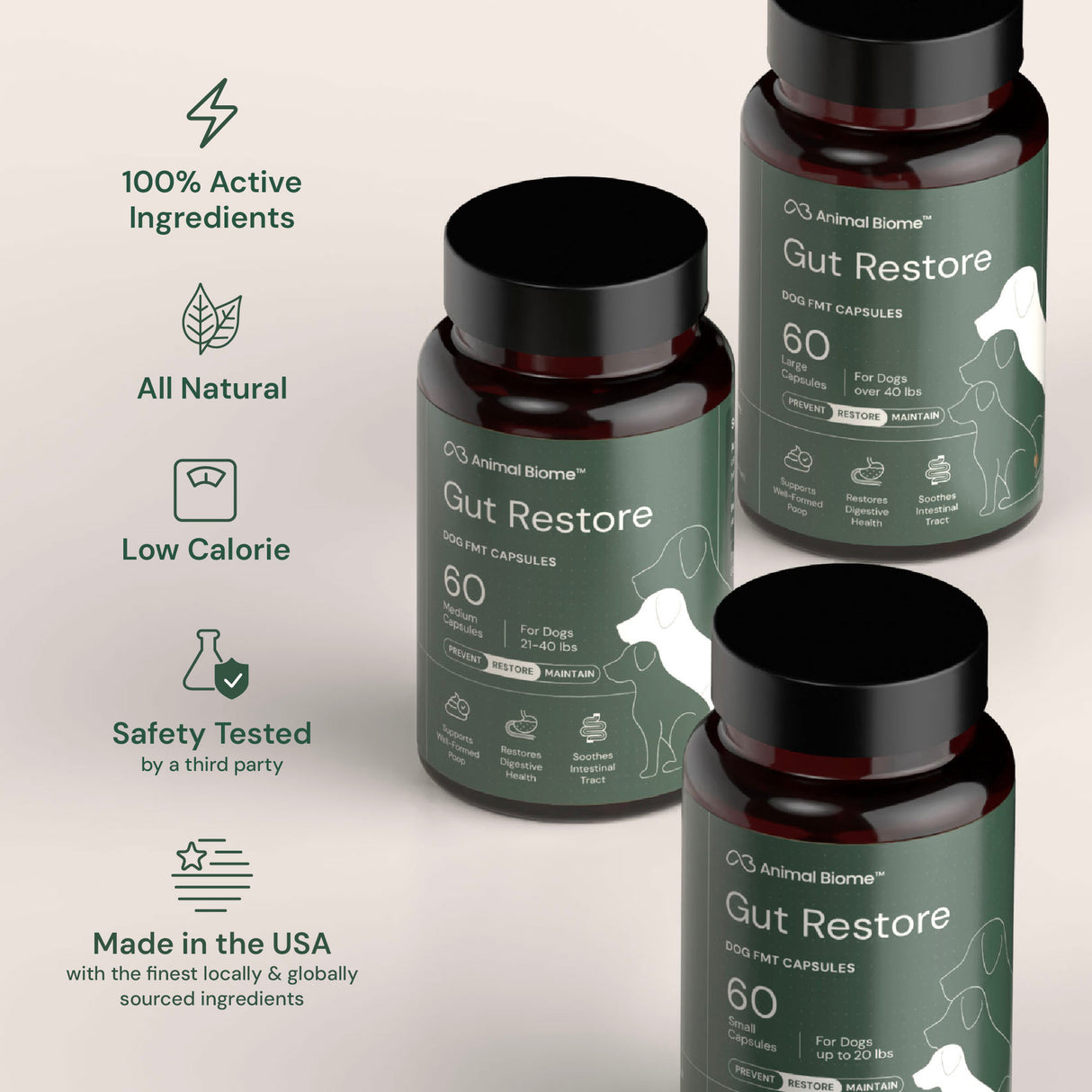 Gut Restore Supplement for Dogs