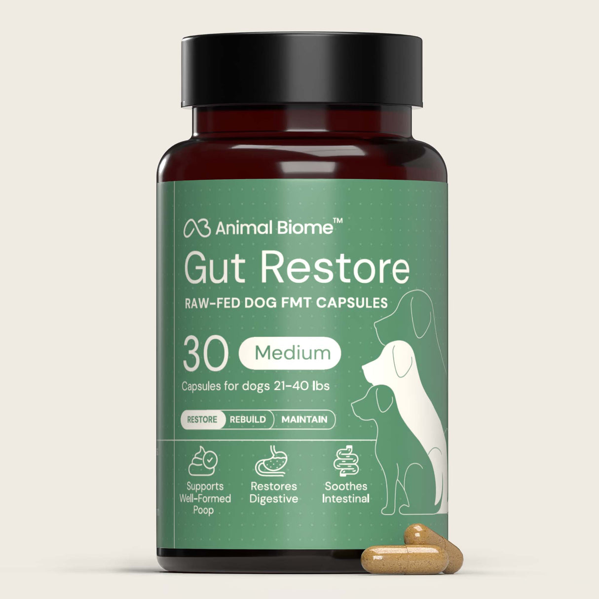 Bottle of Animal Biome Gut Restore raw-fed dog FMT capsules on a beige background