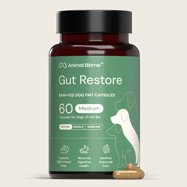 Bottle of Animal Biome Gut Restore raw-fed dog FMT capsules on a beige background