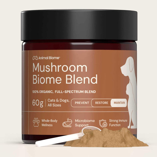 Jar of Mushroom Biome Blend with a black lid on a white background