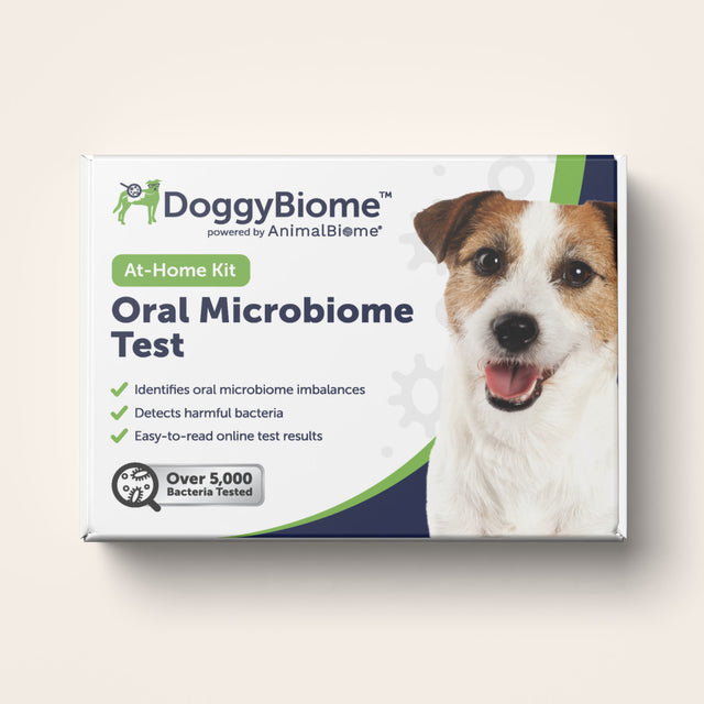 DoggyBiome oral microbiome test kit for dogs on a beige background