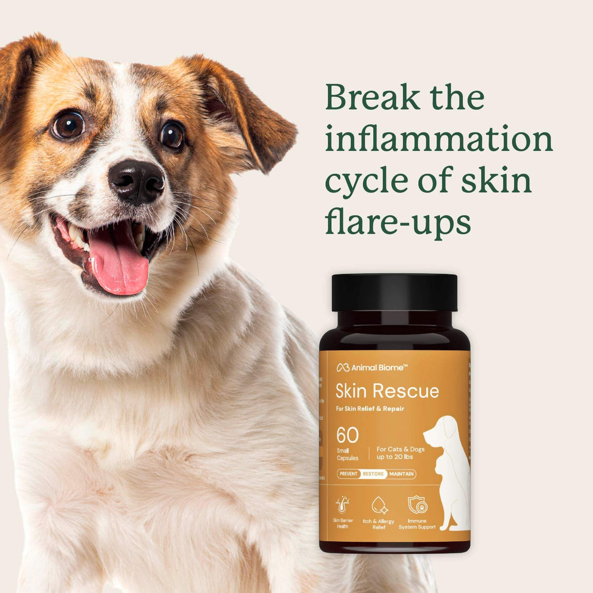 Skin Rescue