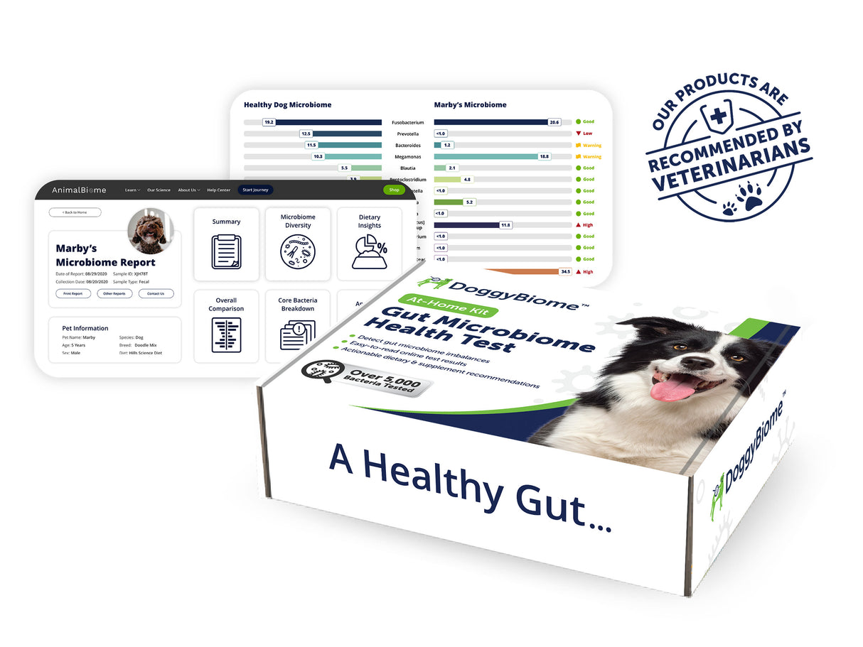 DoggyBiome Gut Microbiome Health Test box with screenshots of digital report and a "Recommended by Veterinarians" stamp
