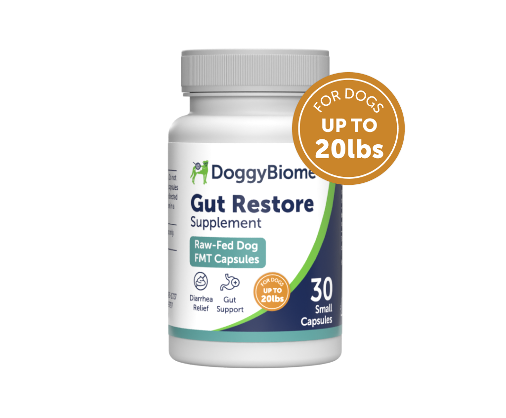 DoggyBiome Gut Restore Supplement from Raw Fed Dogs AnimalBiome