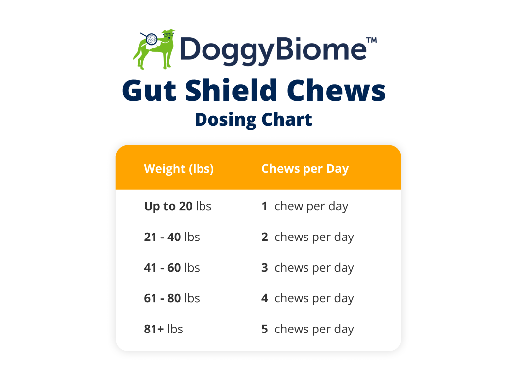 Chews Charting Gut Shield Chews for Dogs – AnimalBiome