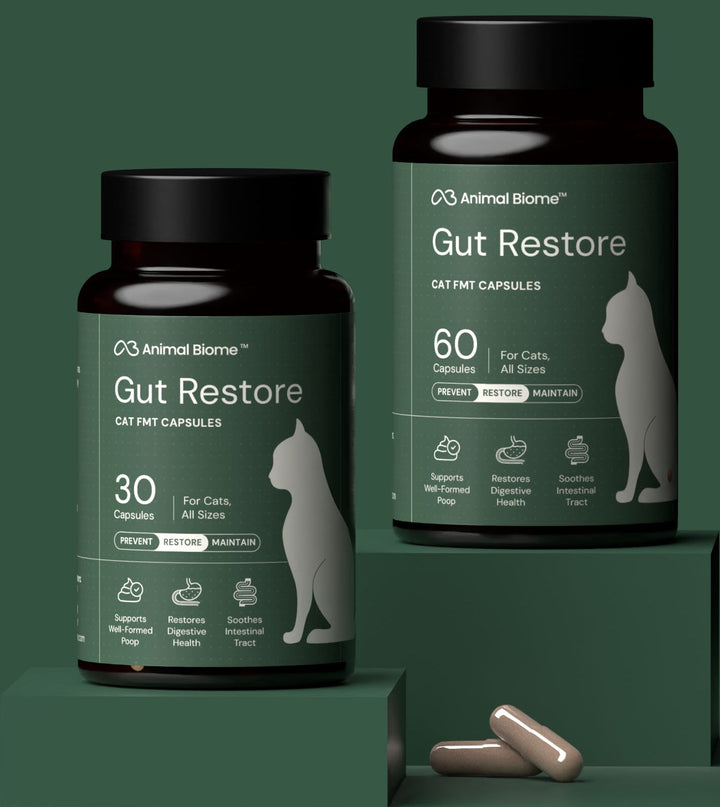 Fecal Microbiota Transplant – AnimalBiome