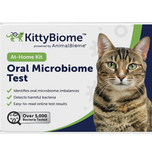 For Cats