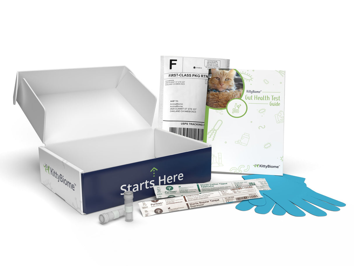 contents of a KittyBiome Gut Health Test: box, mailer, booklet, gloves, wooden stick, swab, sample tubes