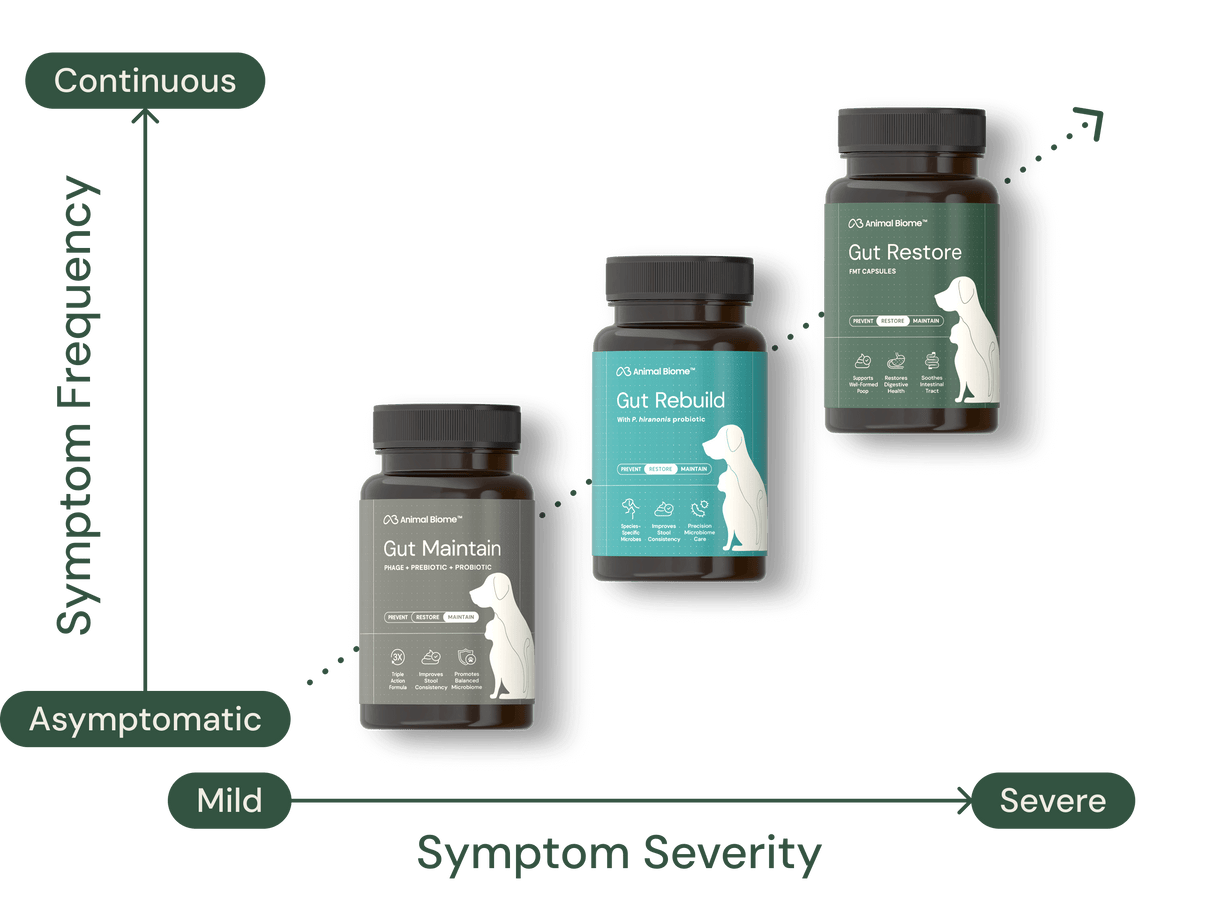 Gut Rebuild for Dogs